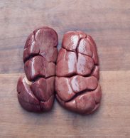 Kidney