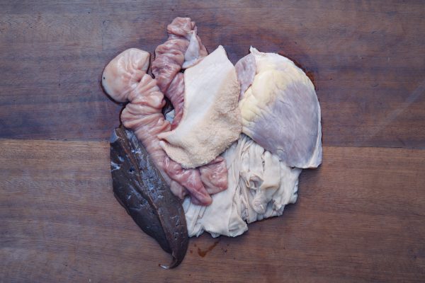 Mixed Intestines - Tsaki, Towel, Roundabout, liver, Abodi, Heart